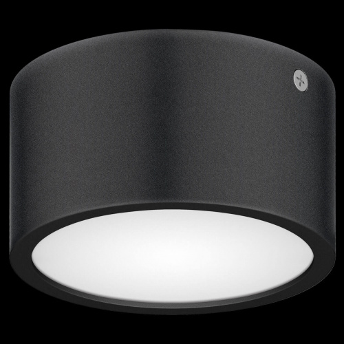 Уличный потолочный светильник Lightstar Zolla 380173